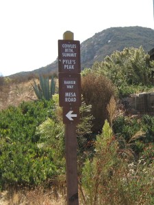 Cowles Mountain trail