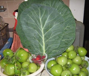 More optimistic tomatos