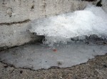 ice_shelf_090217 Shelf of ice on the steps