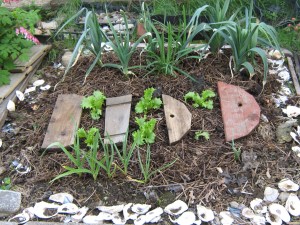 patch_0905061 Mostly an onion patch