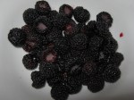 Even more black raspberries 