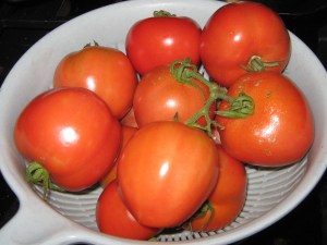 Bowl of tomatoes