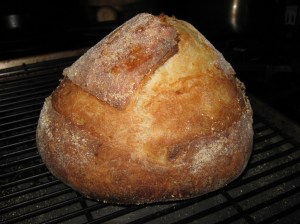 bread_100225