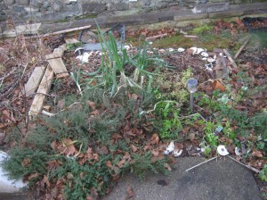 herb_garden_120101